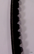 BX80 Cogged V-Belt K3200 2